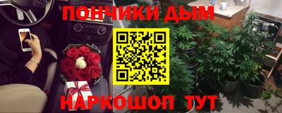 Альфа ПВП Кандалакша