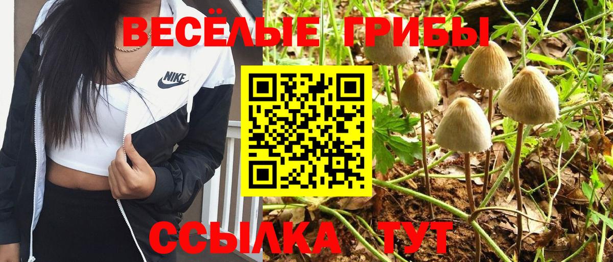 Кызыл  Галлюциногенные грибы GOLDEN TEACHER  Вход с VPN 