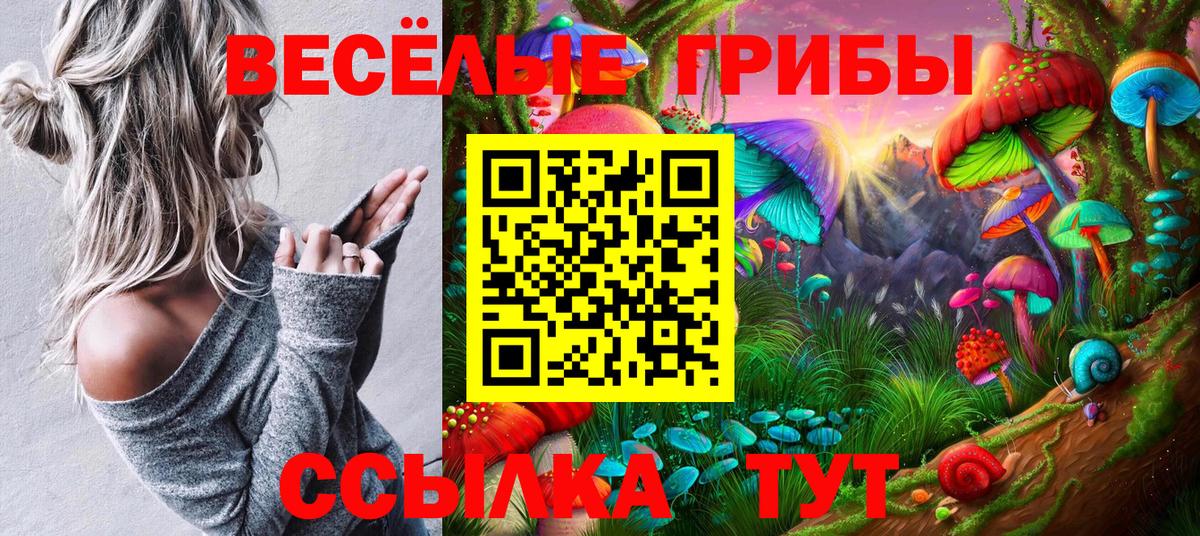 Галлюциногенные грибы Psilocybine cubensis Кызыл