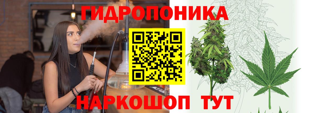МАРИХУАНА OG Kush Кызыл